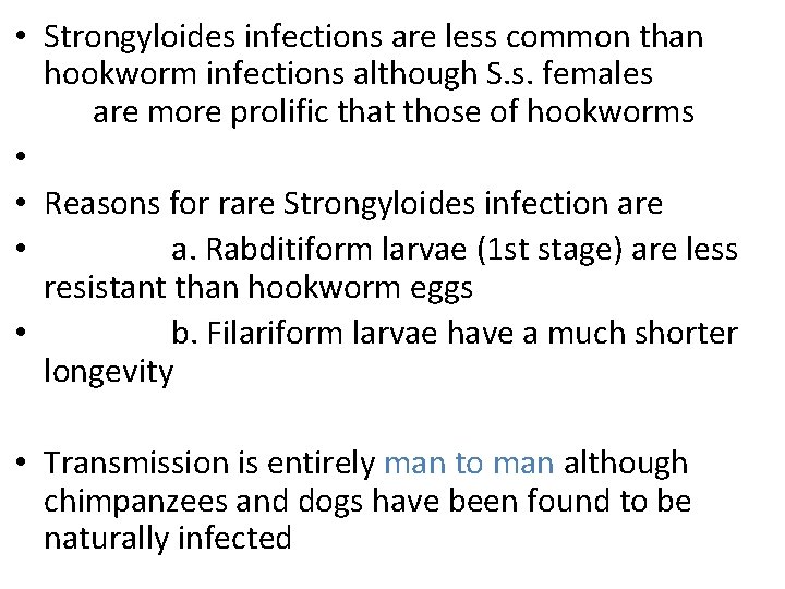  • Strongyloides infections are less common than hookworm infections although S. s. females