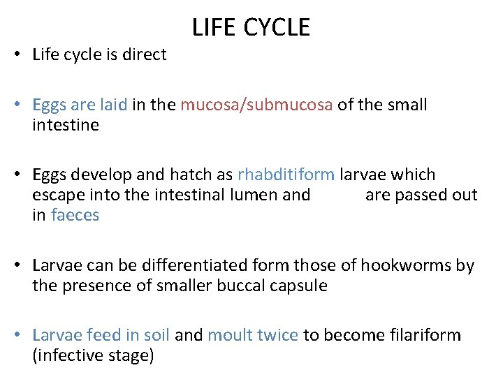  • Life cycle is direct LIFE CYCLE • Eggs are laid in the