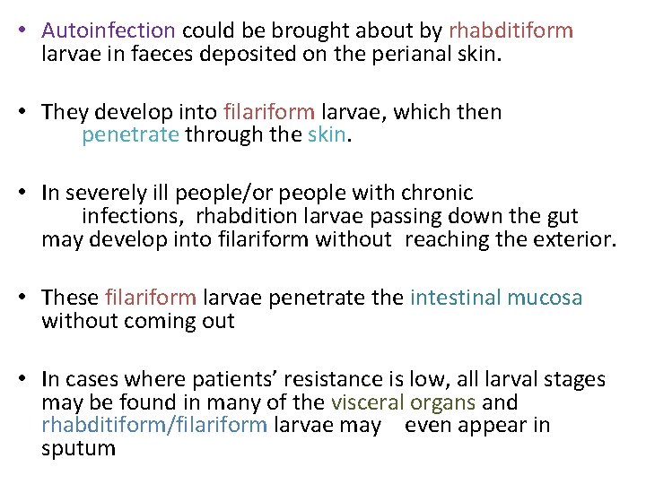  • Autoinfection could be brought about by rhabditiform larvae in faeces deposited on