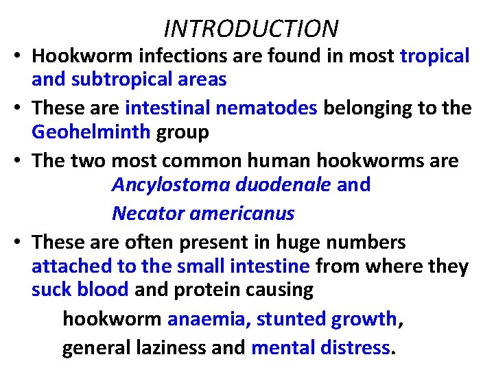 INTRODUCTION • Hookworm infections are found in most tropical and subtropical areas • These