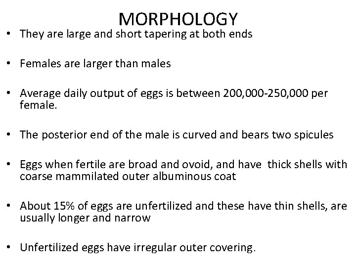 MORPHOLOGY • They are large and short tapering at both ends • Females are