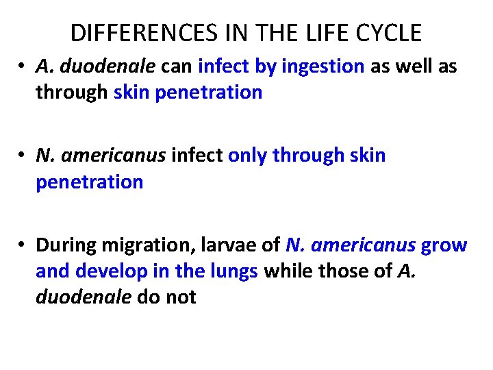DIFFERENCES IN THE LIFE CYCLE • A. duodenale can infect by ingestion as well