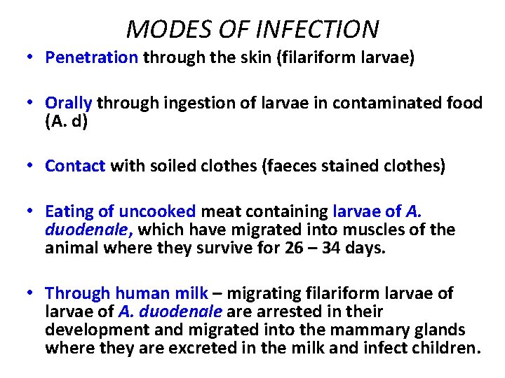 MODES OF INFECTION • Penetration through the skin (filariform larvae) • Orally through ingestion