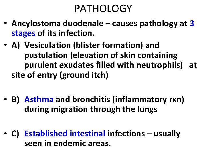 PATHOLOGY • Ancylostoma duodenale – causes pathology at 3 stages of its infection. •