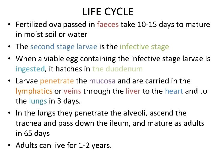 LIFE CYCLE • Fertilized ova passed in faeces take 10 -15 days to mature