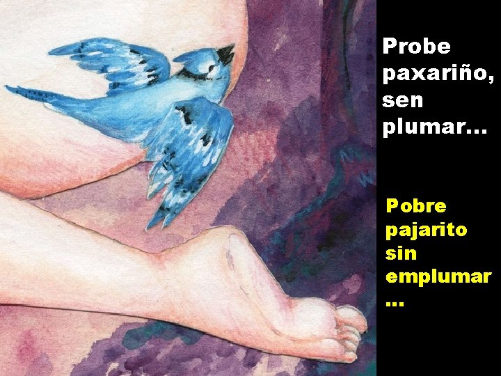 Probe paxariño, sen plumar. . . Pobre pajarito sin emplumar … 