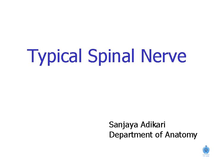 Typical Spinal Nerve Sanjaya Adikari Department of Anatomy 