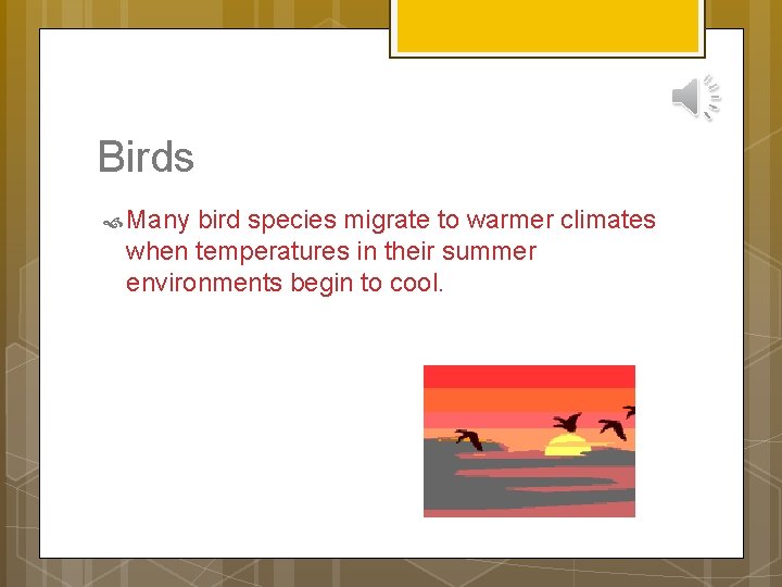 Birds Many bird species migrate to warmer climates when temperatures in their summer environments