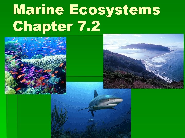 Marine Ecosystems Chapter 7. 2 