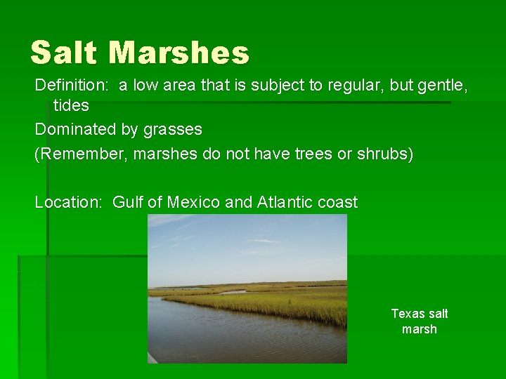 Salt Marshes Definition: a low area that is subject to regular, but gentle, tides