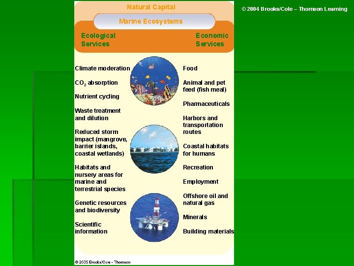 Natural Capital © 2004 Brooks/Cole – Thomson Learning Marine Ecosystems Ecological Services Economic Services