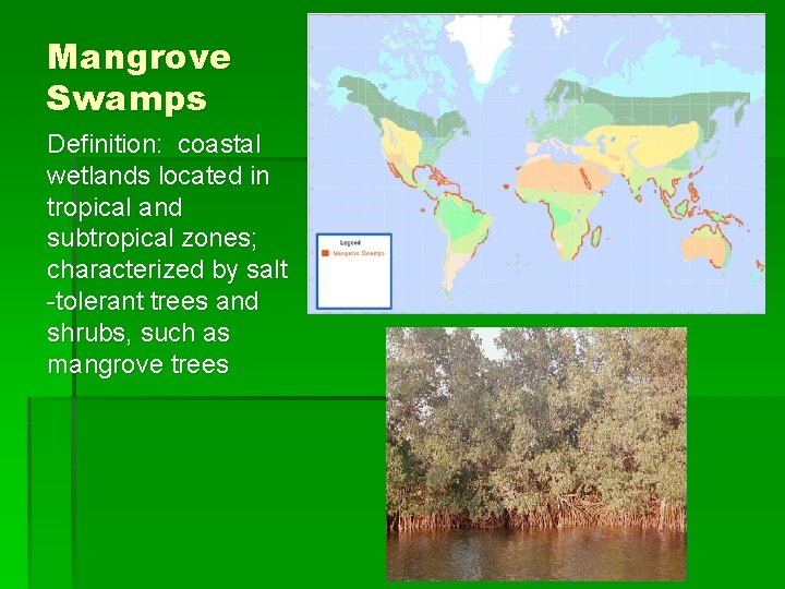 Mangrove Swamps Definition: coastal wetlands located in tropical and subtropical zones; characterized by salt