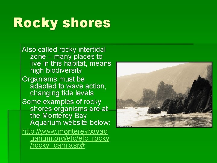 Rocky shores Also called rocky intertidal zone – many places to live in this