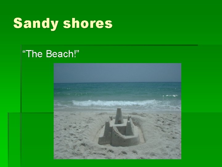 Sandy shores “The Beach!” 