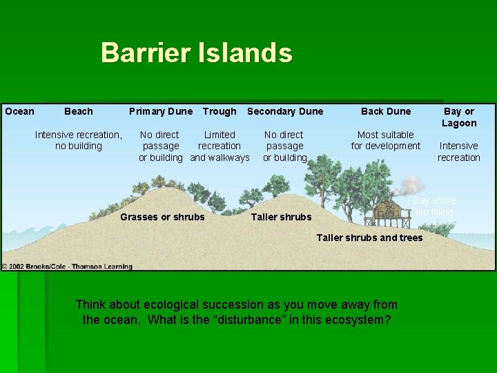 Barrier Islands Ocean Beach Primary Dune Intensive recreation, no building Trough Secondary Dune No