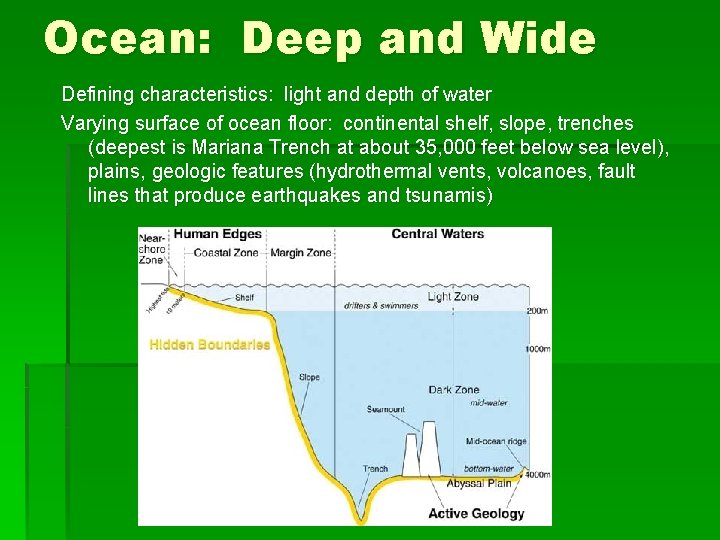 Ocean: Deep and Wide Defining characteristics: light and depth of water Varying surface of