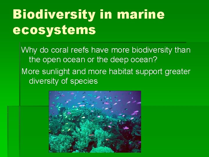 Biodiversity in marine ecosystems Why do coral reefs have more biodiversity than the open