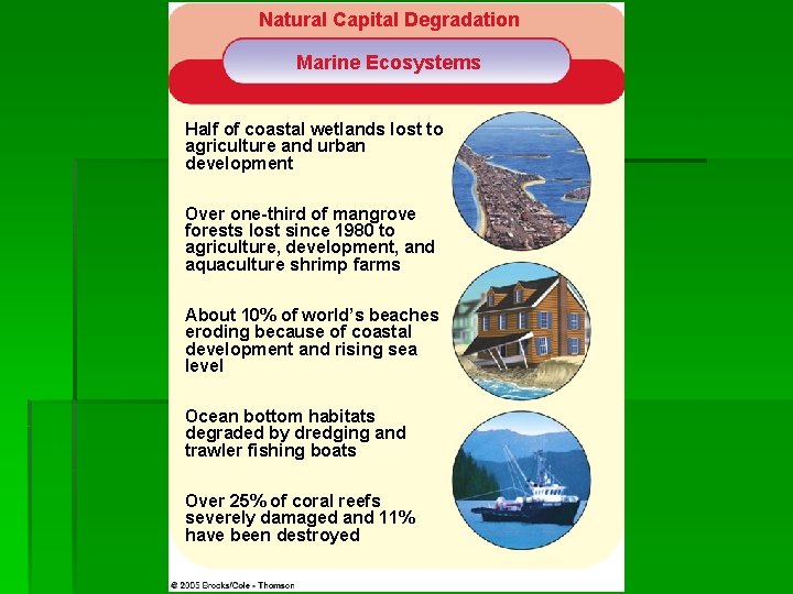 Natural Capital Degradation Marine Ecosystems Half of coastal wetlands lost to agriculture and urban