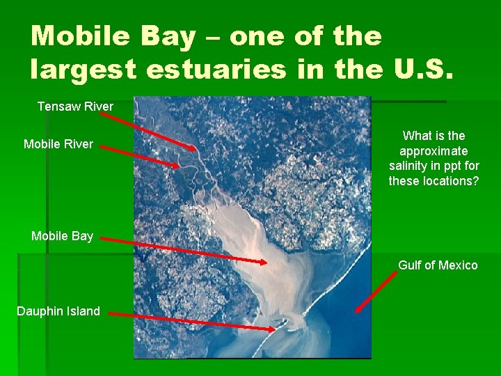 Mobile Bay – one of the largest estuaries in the U. S. Tensaw River