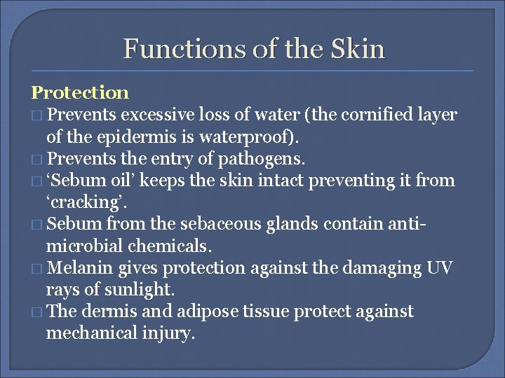 Functions of the Skin Protection � Prevents excessive loss of water (the cornified layer