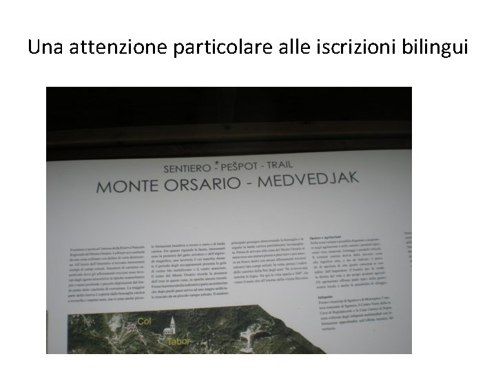 Una attenzione particolare alle iscrizioni bilingui 