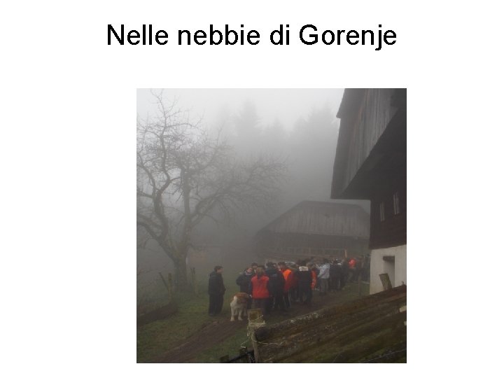 Nelle nebbie di Gorenje 