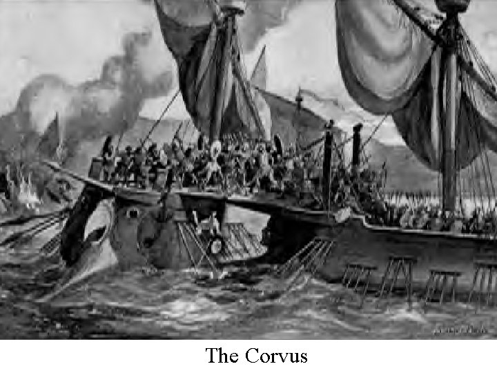 The Corvus 