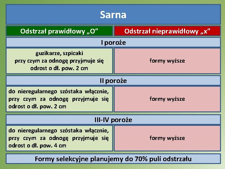 Sarna Odstrzał prawidłowy „O” Odstrzał nieprawidłowy „x” I poroże guzikarze, szpicaki przy czym za Sarna Odstrzał prawidłowy „O” Odstrzał nieprawidłowy „x” I poroże guzikarze, szpicaki przy czym za