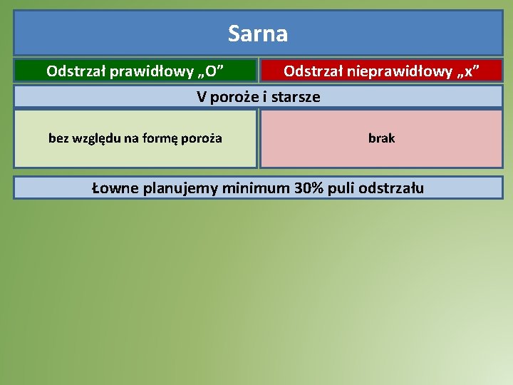 Sarna Odstrzał prawidłowy „O” Odstrzał nieprawidłowy „x” V poroże i starsze bez względu na Sarna Odstrzał prawidłowy „O” Odstrzał nieprawidłowy „x” V poroże i starsze bez względu na