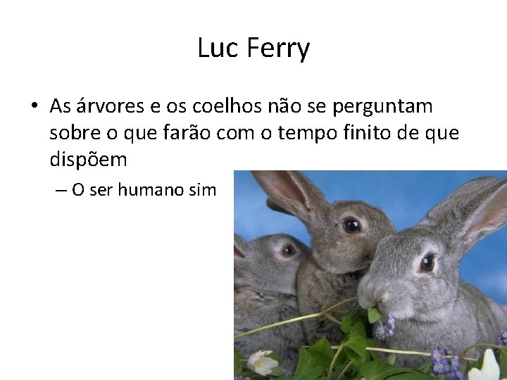 Luc Ferry • As árvores e os coelhos não se perguntam sobre o que