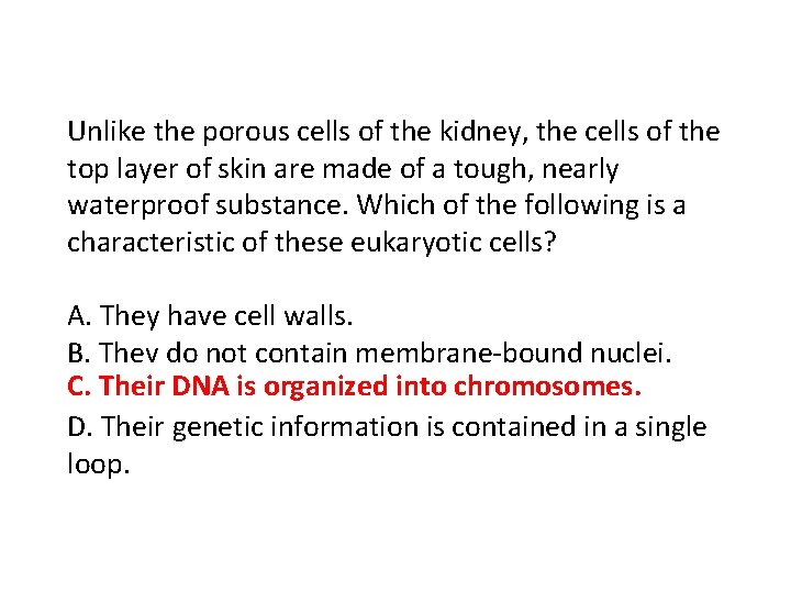 Unlike the porous cells of the kidney, the cells of the top layer of
