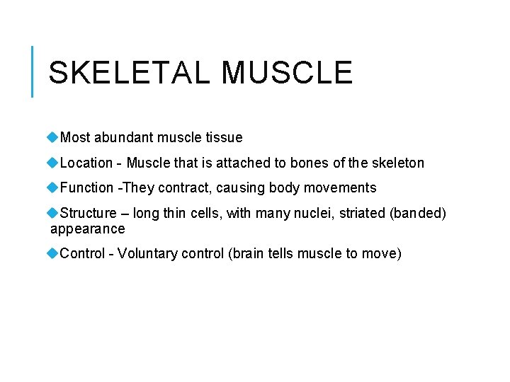 SKELETAL MUSCLE u. Most abundant muscle tissue u. Location - Muscle that is attached