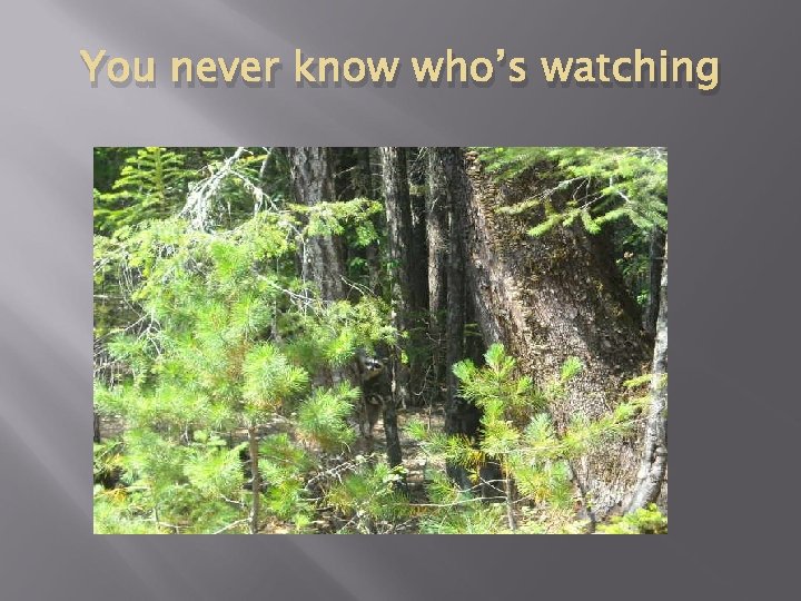 You never know who’s watching 