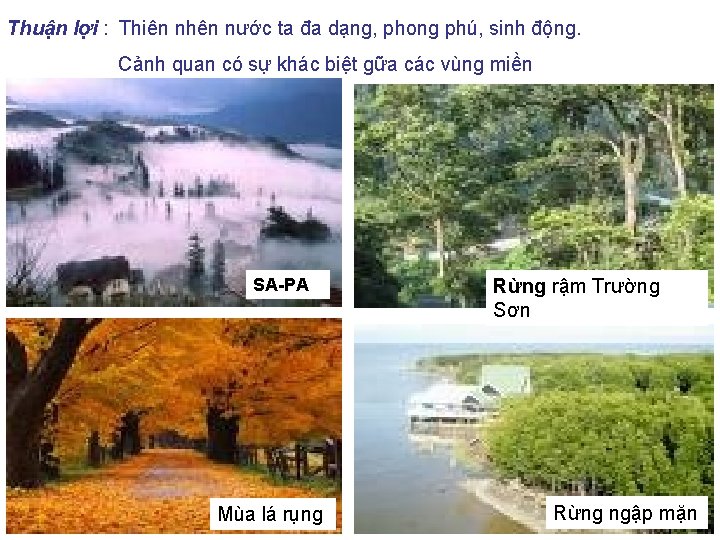 Thuận lợi : Thiên nhên nước ta đa dạng, phong phú, sinh động. Cảnh