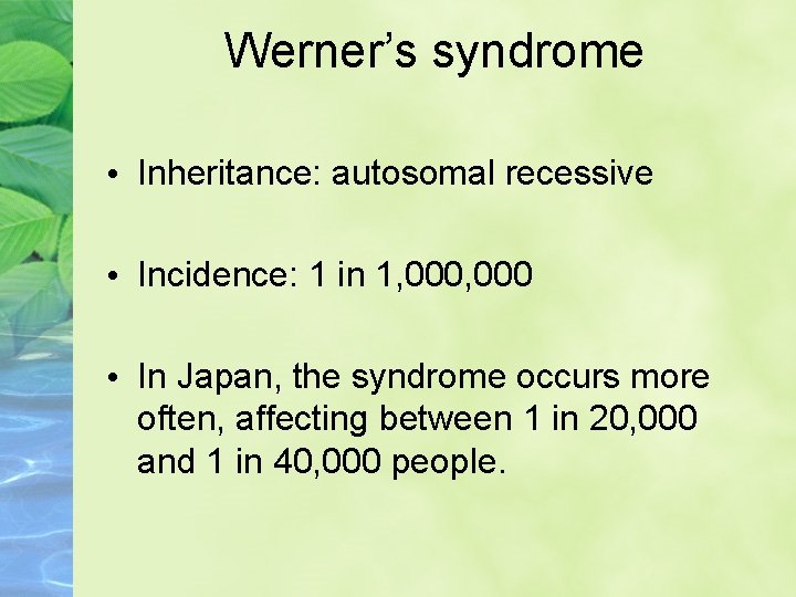 Werner’s syndrome • Inheritance: autosomal recessive • Incidence: 1 in 1, 000 • In