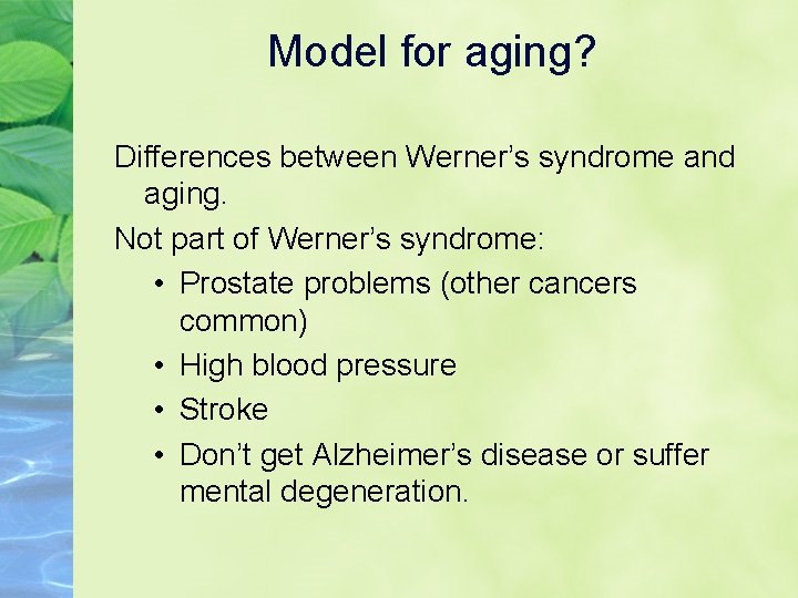 Model for aging? Differences between Werner’s syndrome and aging. Not part of Werner’s syndrome: