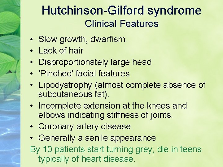 Hutchinson-Gilford syndrome Clinical Features • • • Slow growth, dwarfism. Lack of hair Disproportionately