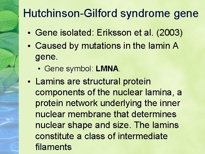 Hutchinson-Gilford syndrome gene • Gene isolated: Eriksson et al. (2003) • Caused by mutations
