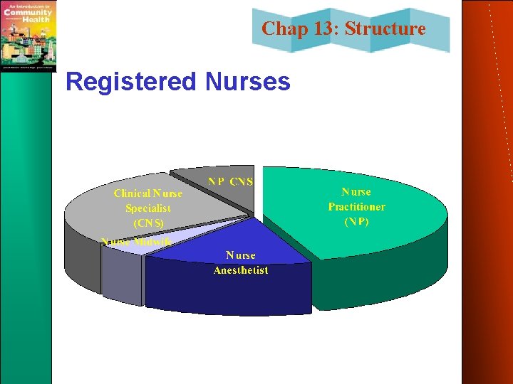 Chap 13: Structure Registered Nurses 