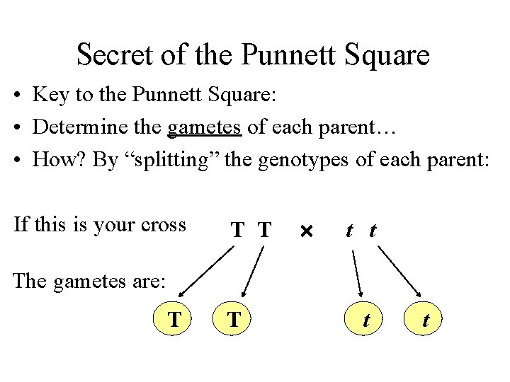 Secret of the Punnett Square • Key to the Punnett Square: • Determine the