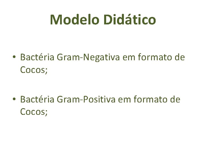 Modelo Didático • Bactéria Gram-Negativa em formato de Cocos; • Bactéria Gram-Positiva em formato