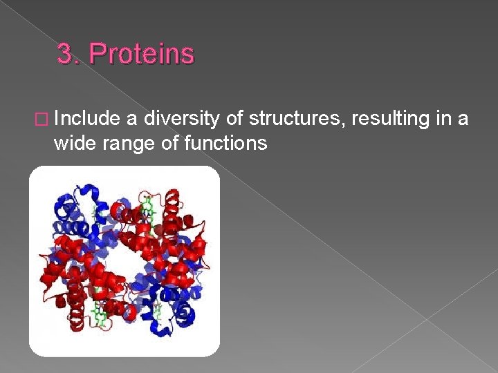 3. Proteins � Include a diversity of structures, resulting in a wide range of