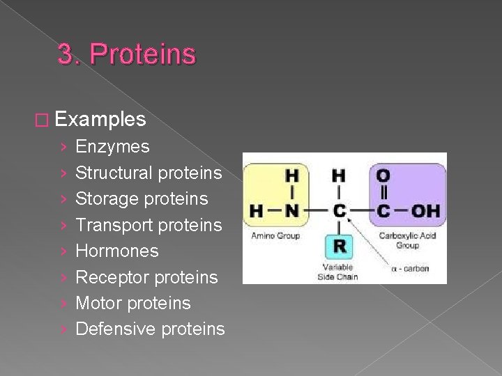 3. Proteins � Examples › › › › Enzymes Structural proteins Storage proteins Transport