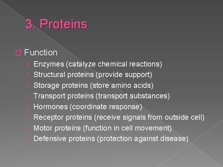 3. Proteins � Function › › › › Enzymes (catalyze chemical reactions) Structural proteins
