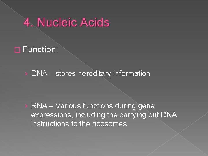 4. Nucleic Acids � Function: › DNA – stores hereditary information › RNA –