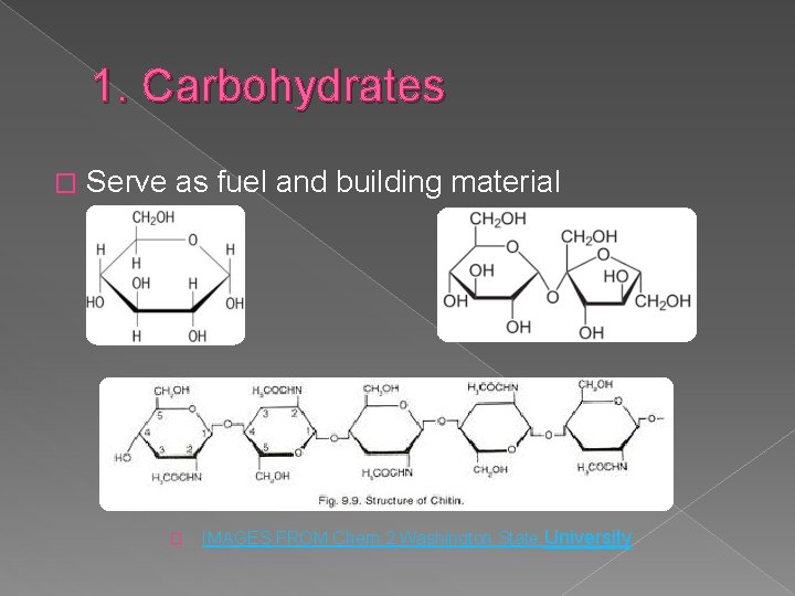 1. Carbohydrates � Serve as fuel and building material � IMAGES FROM Chem 2