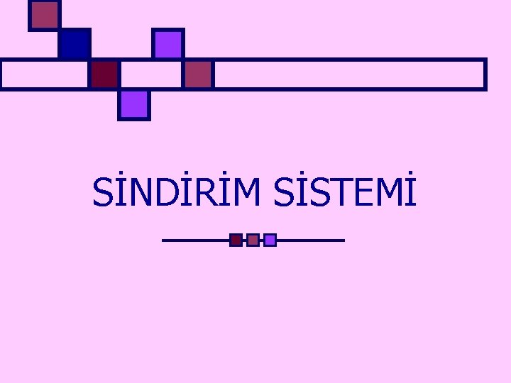 SİNDİRİM SİSTEMİ 