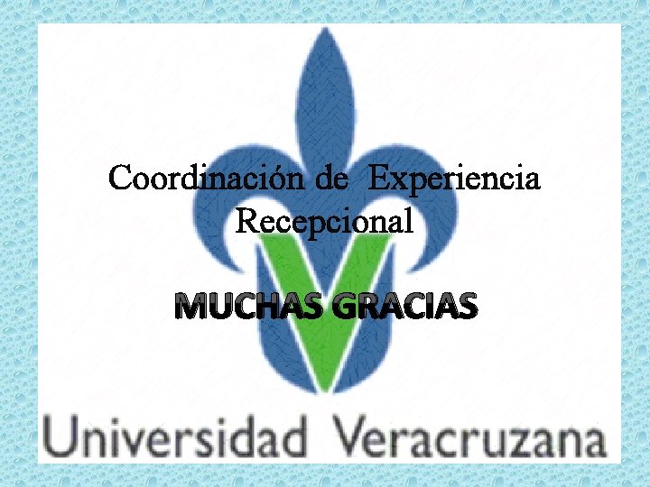 Coordinación de Experiencia Recepcional MUCHAS GRACIAS 