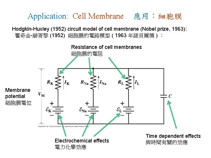 Application: Cell Membrane 應用：細胞膜 Hodgkin-Huxley (1952) circuit model of cell membrane (Nobel prize, 1963):