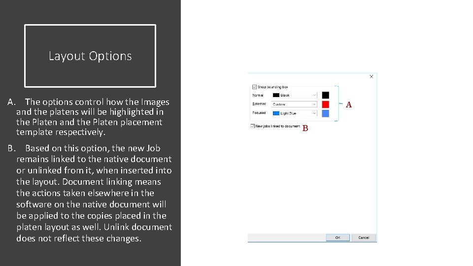 Layout Options A. The options control how the Images and the platens will be Layout Options A. The options control how the Images and the platens will be